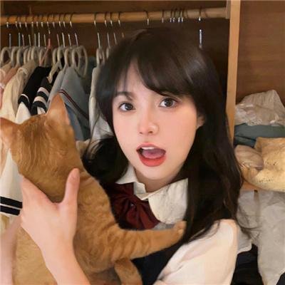 布格迪先生